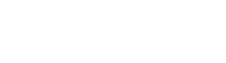 VNSOsoft Logo trắng